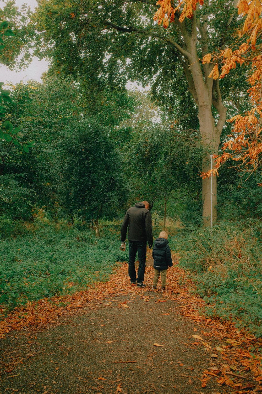 Family Enjoying the Trails
